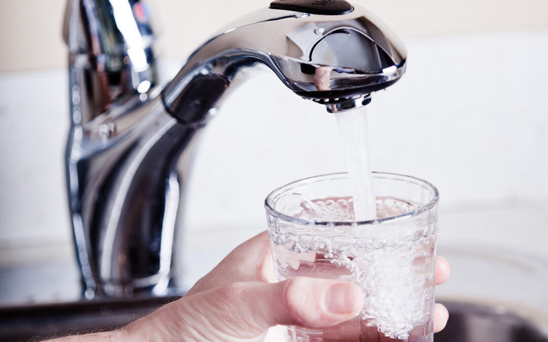 Major Minerals – Fluoride