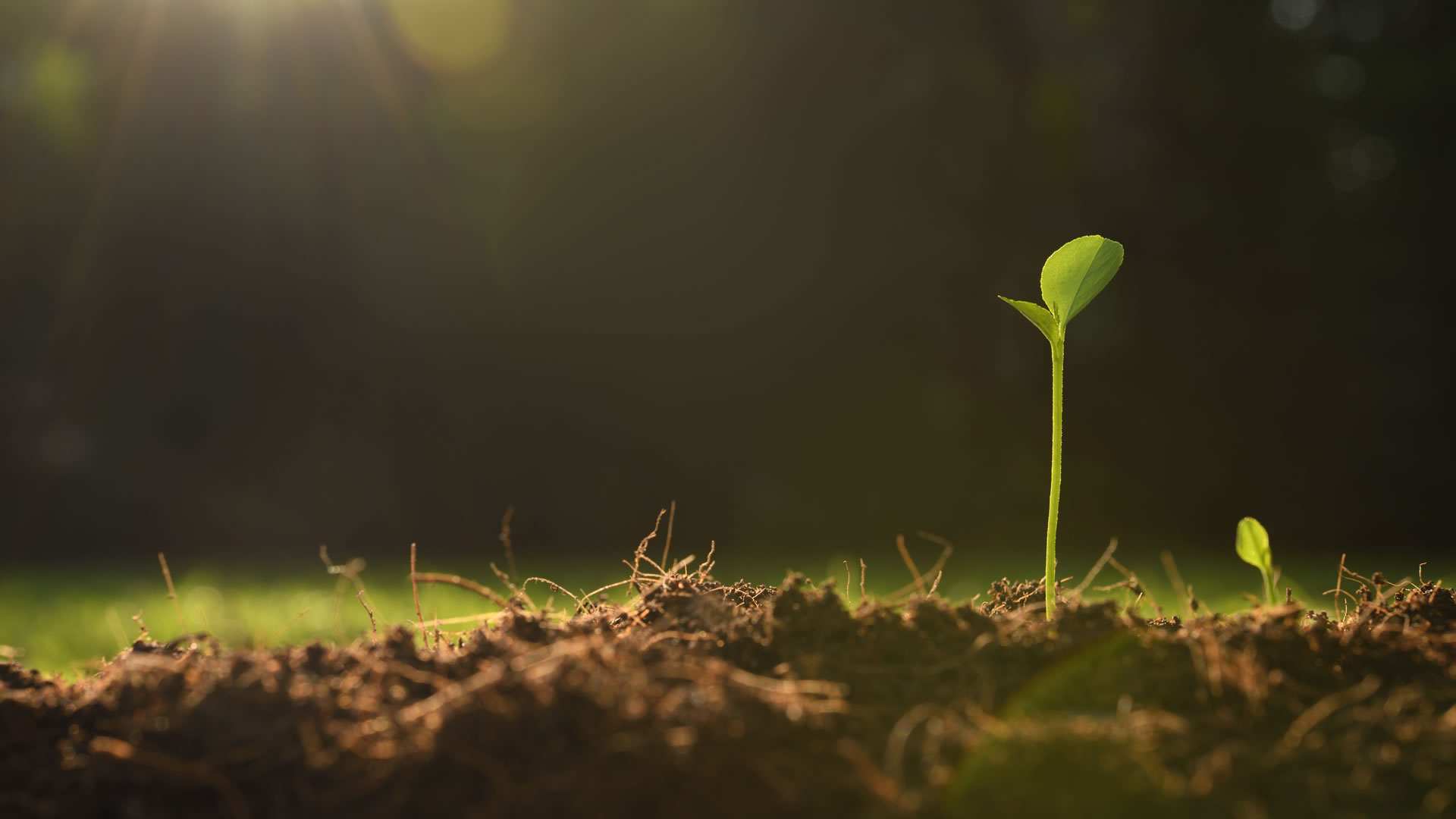 January New Beginnings and Goal Setting: Embracing a Positive Mindset